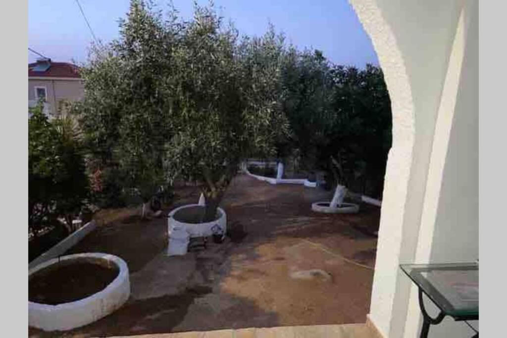 Panorama Apartment Porto Rafti Exterior photo